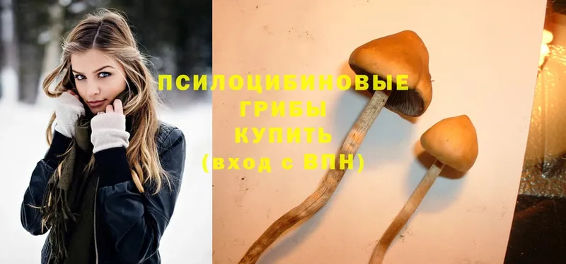 Галлюциногенные грибы MAGIC MUSHROOMS  omg tor  Кинель 